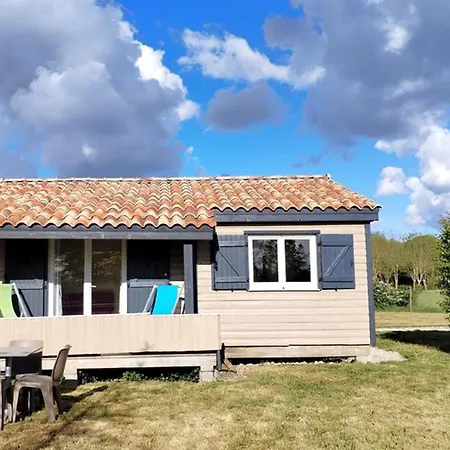 A - Terrasse Et Salon De Jardin - Api-1-52-363 Kemp