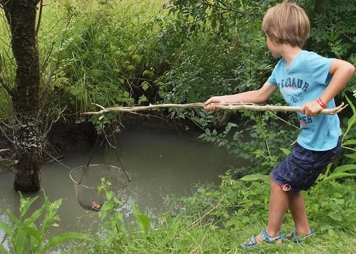 A - Terrasse Et Salon De Jardin - Api-1-52-363 * Chaille-Les-Marais